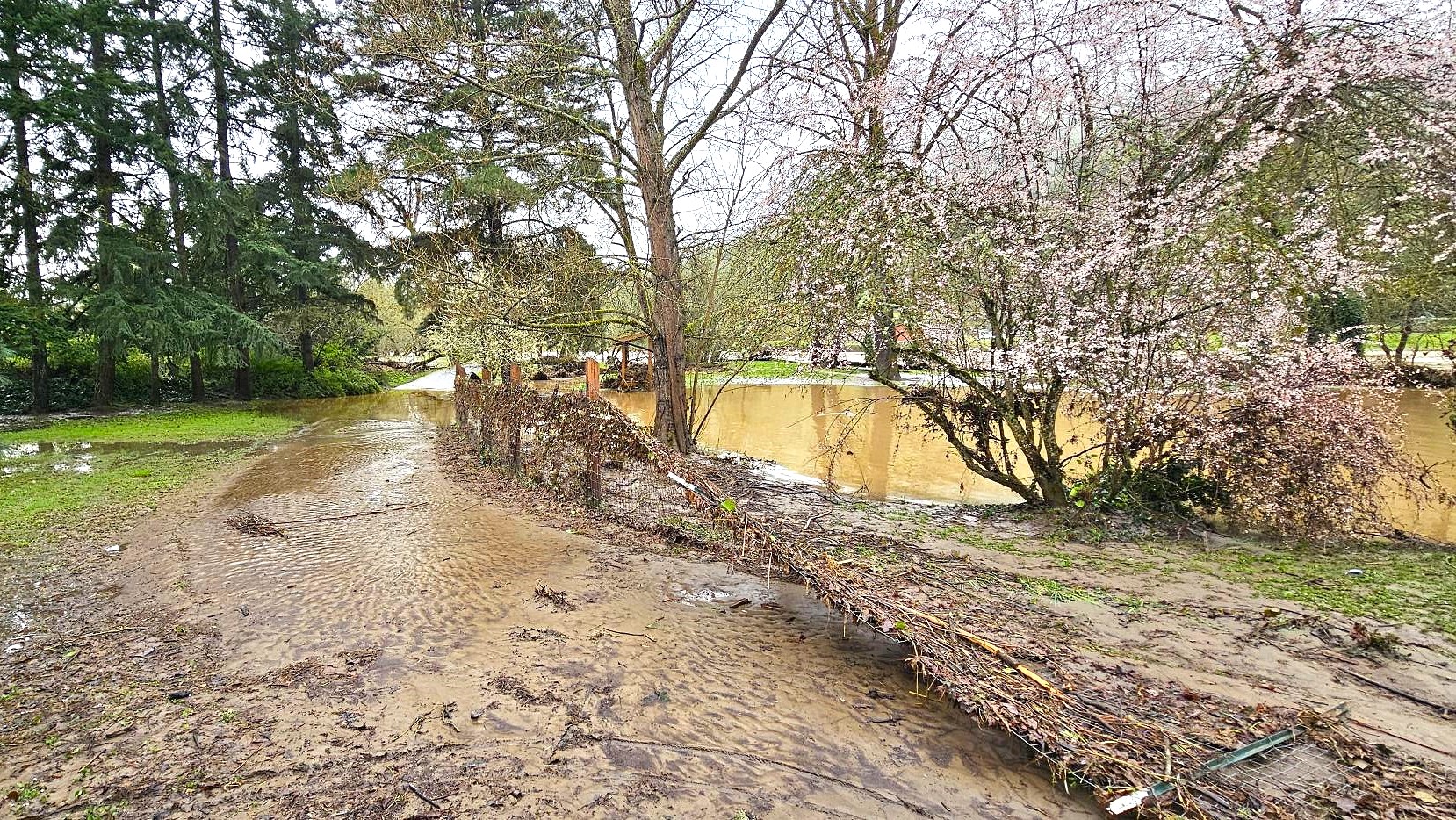 Roseburg dog park closed by flooding | City of Roseburg