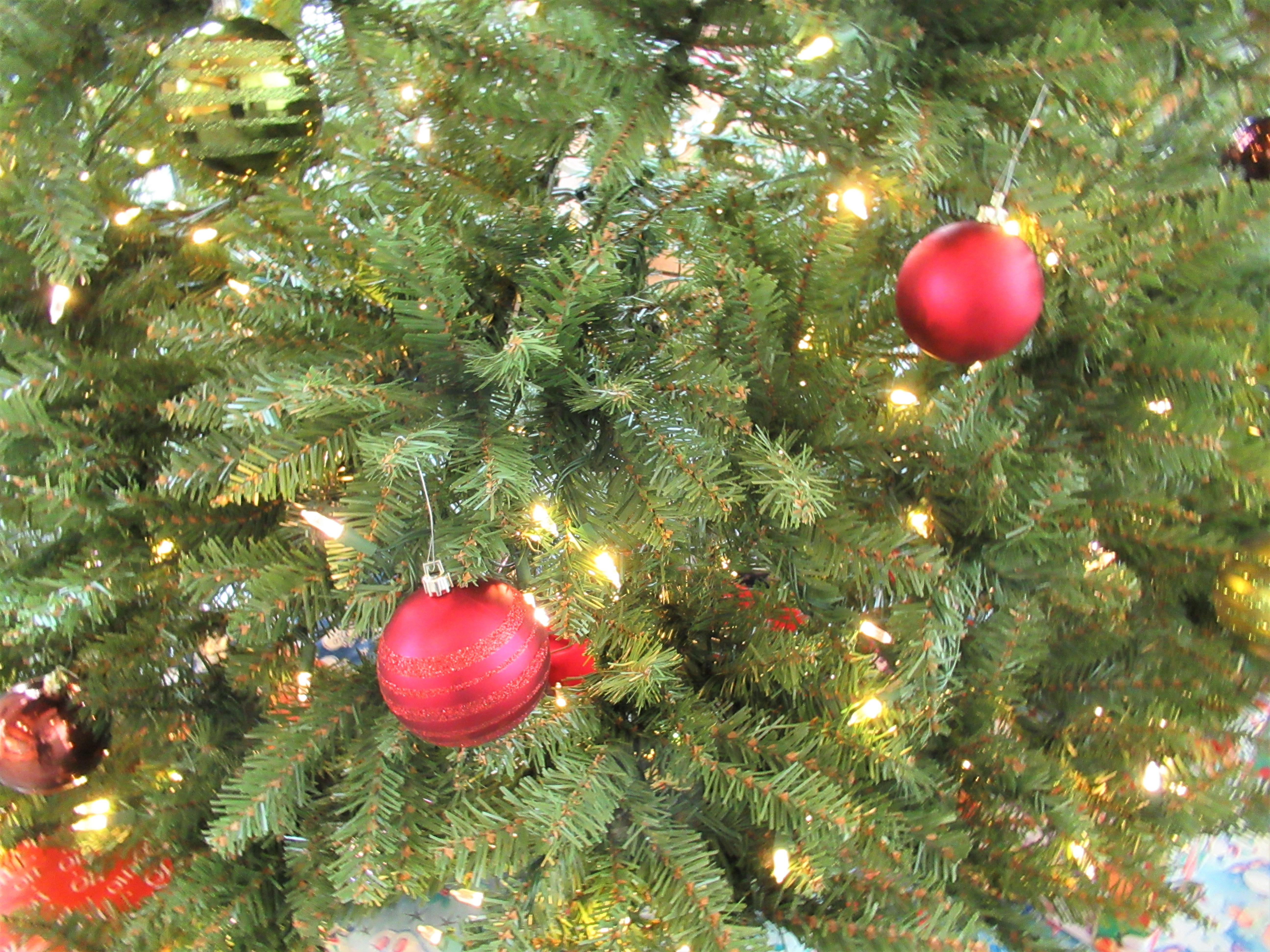 Recycle your Christmas tree | City of Roseburg