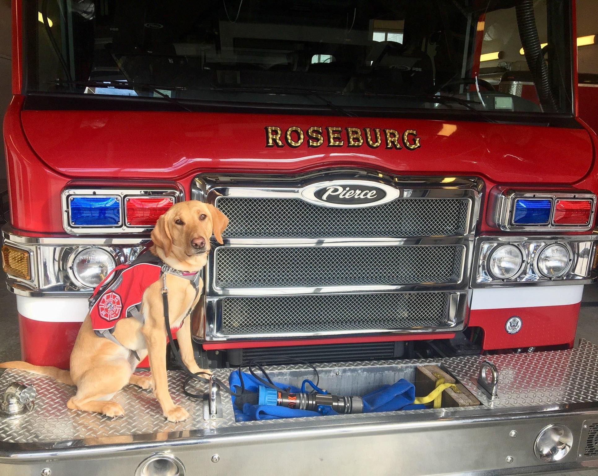 New Public Relations and Search/Recovery K9 - 5-23-19 (Photo) featured image